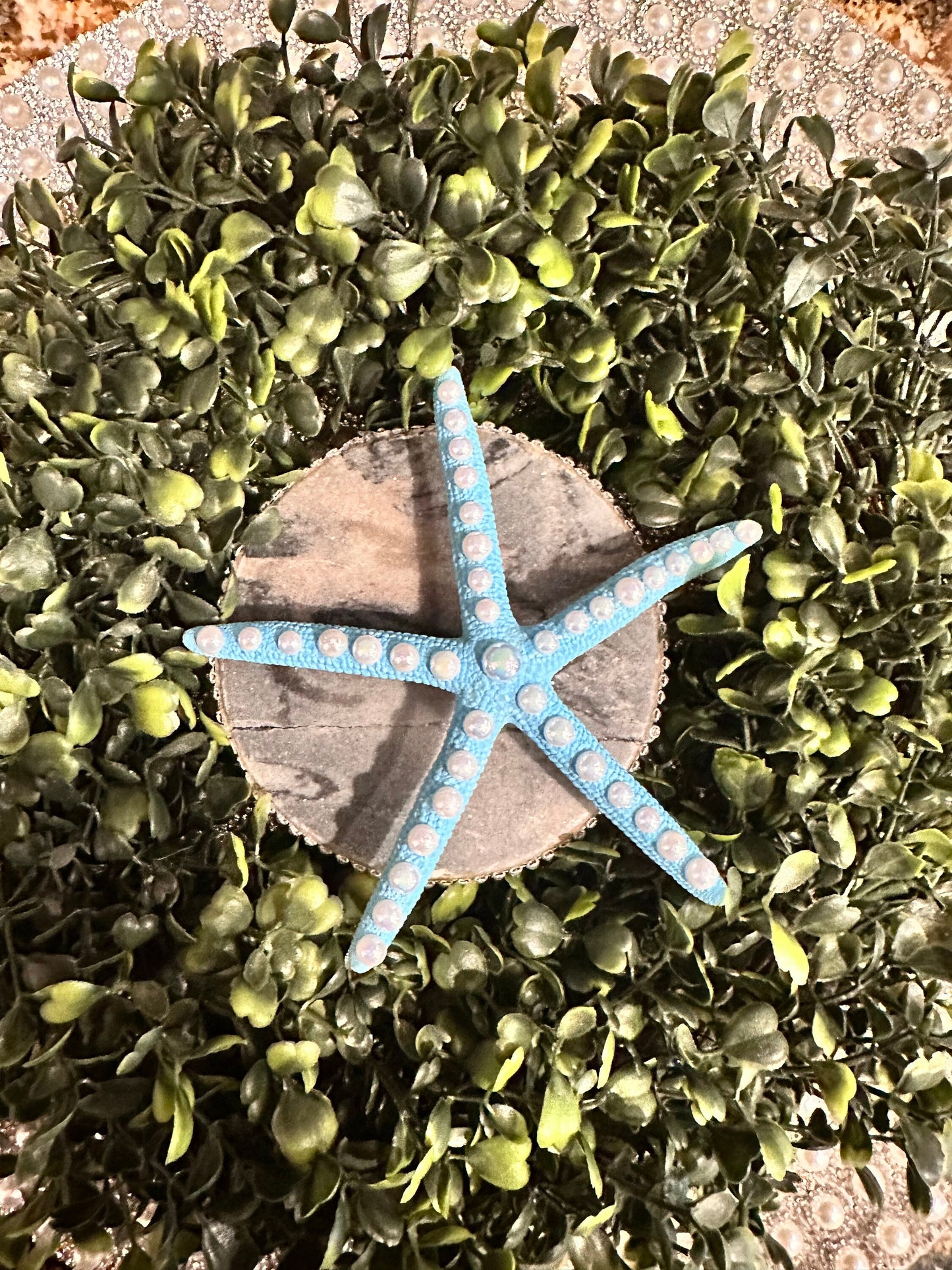 Starfish Candle Pin